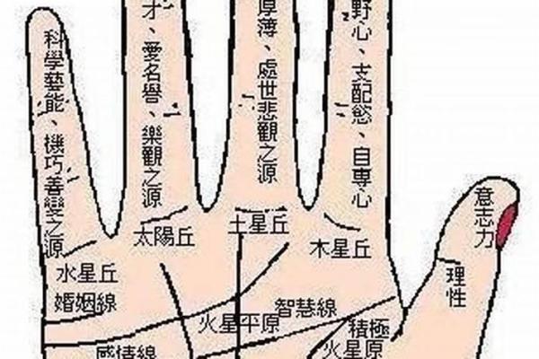 探秘：什么样的男人拥有横财命？