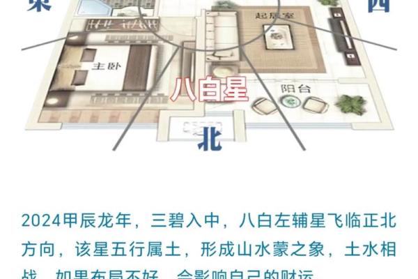 属狗火命的人：家居风水与摆放最佳建议