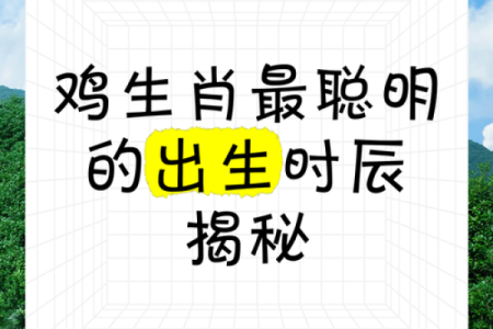 探秘鸡命的意义与应用：揭示生活中的独特命理密码