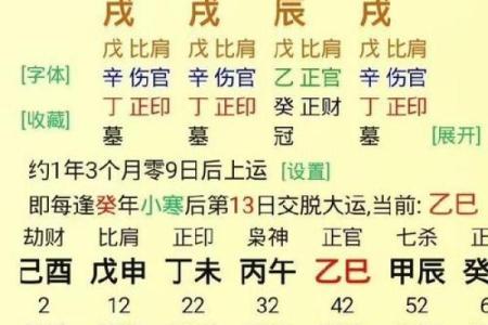 2007年属什么命？解析丁亥年人的性格与命运