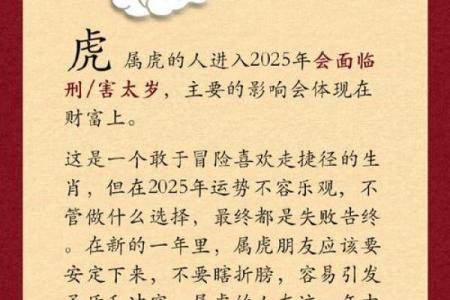 1998年虎年出生的朋友：你属于什么命？解析生肖与命理的奥秘