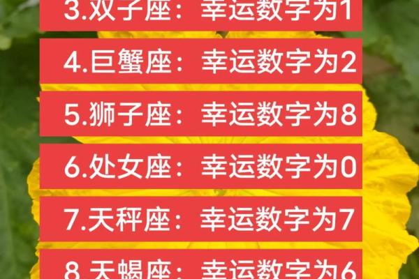 揭示白羊座的命运密码：为何他们普遍好运连连？