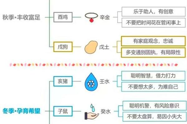 倚此为命，生肖之间的神秘联系与启示