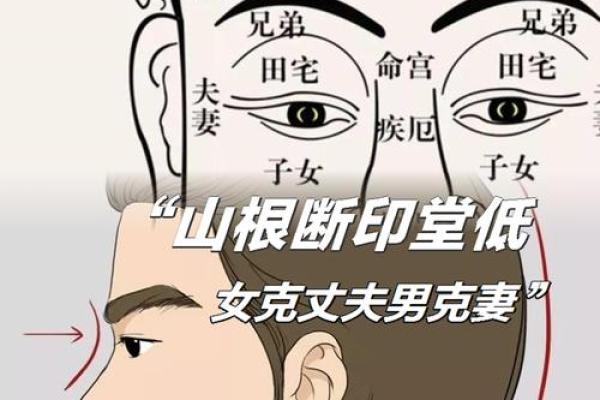 贼眉鼠眼的女人：你不知道的命运与性格解析