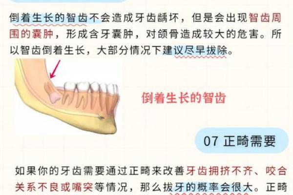 26颗牙齿的奥秘：揭示你命运的秘密与平衡之道