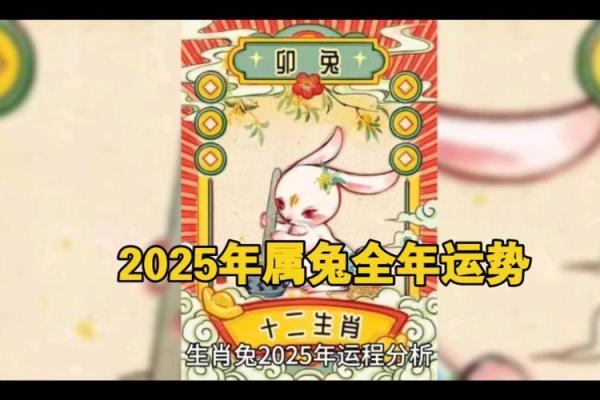 2023年属兔人的命运解析与生活指南，为你揭示兔年秘密！