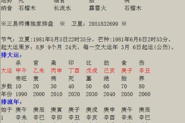 1978年属什么命人：解密“马年”命理与人生走向