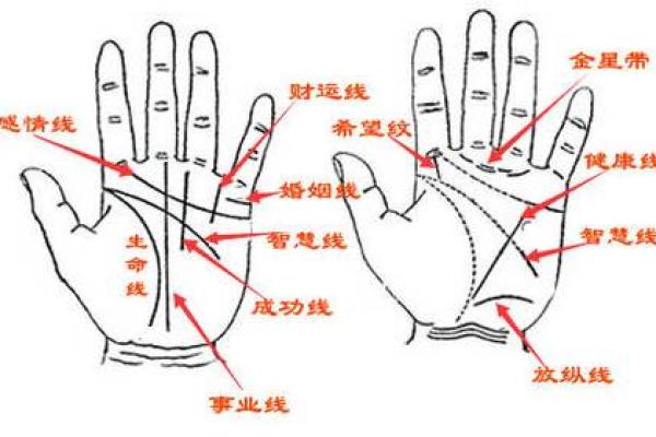 揭秘男人最差手相：命运之路的暗示与反思