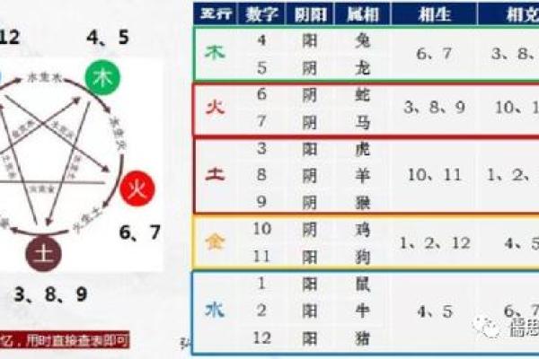 揭秘八字命理：根据出生年份洞悉人生运势与性格特征