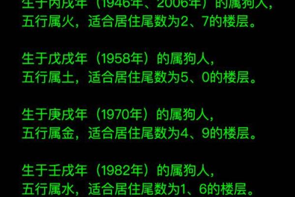 94年出生的狗年命：揭秘属狗人的性格与命运