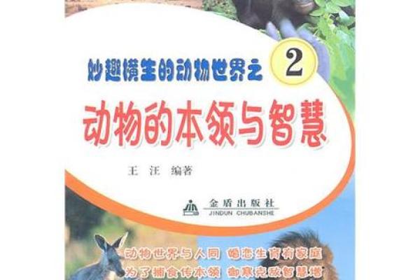 没有沿海的命：内陆城市的独特魅力与生存智慧