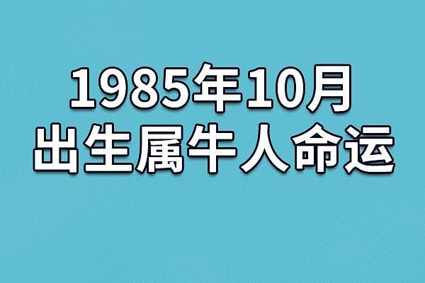 1985年8月的命运之章：探索生命的秘密与可能性