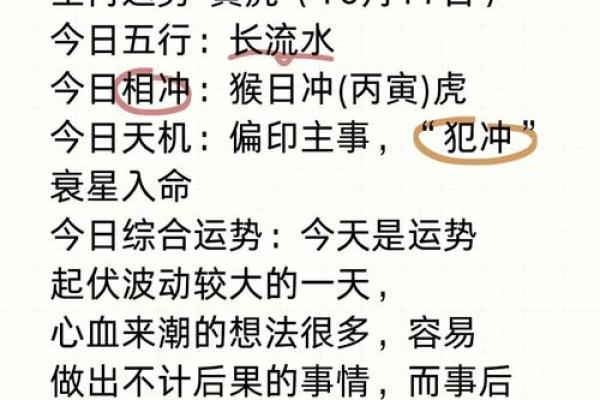 2022年虎年运势：解析虎年命理与生活中的智慧