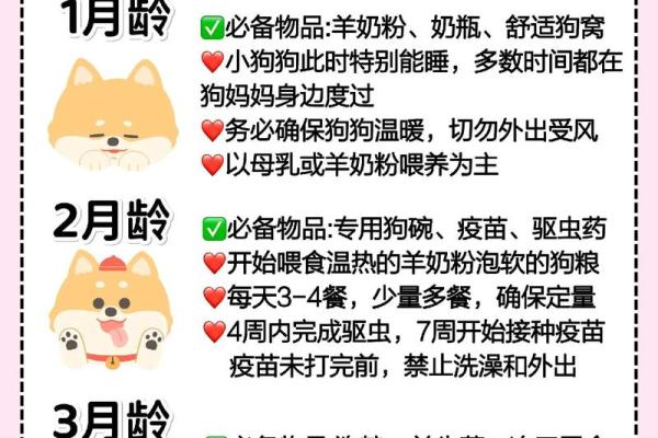 狗年冬天出生宝宝的命运解读与养育指南