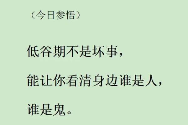 命运的低谷与心灵的蜕变：从受苦到自我救赎