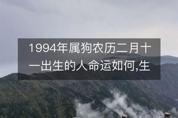 1994年属狗的命运解析：如何把握一生的幸福与成功