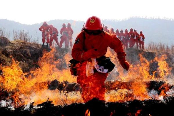 无畏消防官兵：挺身而出守护生命的壮举