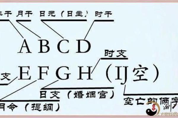 亥时出生的命理解析：揭示你的命运与机遇之路