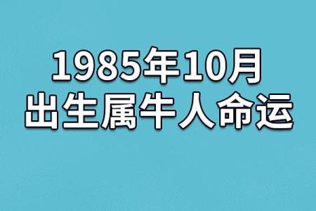 1985年8月的命运之章：探索生命的秘密与可能性