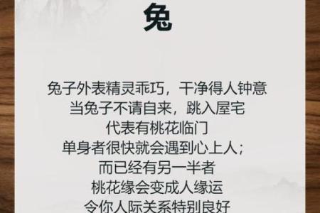 狗是什么命：解读艮与巽的内涵和寓意