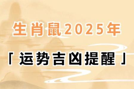 1935年属鼠人的命运与性格解析，揭示你的潜力与挑战