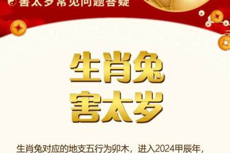 兔年35岁属什么命？解密命理与运势的奥秘！