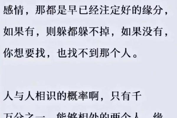 视你如命，却未命的爱，如何抉择？探寻情感的真谛与选择的痕迹