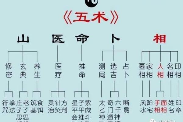 北斗一命与五命：命理中的不同解析与应用