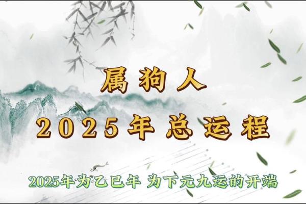 2007年属狗人命理分析：探索他们的性格和命运之路