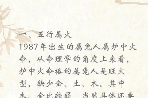 2816年冬月出生的人命运解析：独特天赋与人生方向