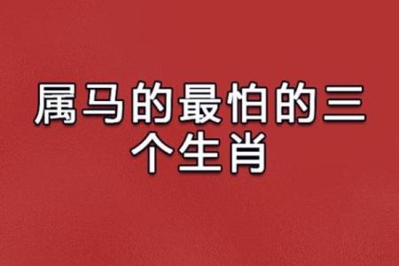 2002年出生的马年命，幸运与挑战并存的命理探讨