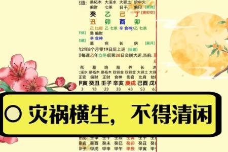 探秘命理命局与八字关系的奥秘：如何通过八字解读人生之路