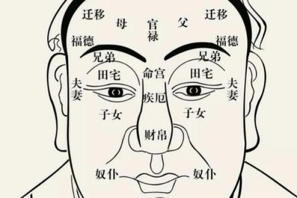 看鼻子决定命运：揭秘面相学的奥秘与启示