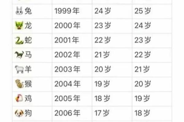 1996年农历属鼠，揭秘这一年出生者的命运与性格特征