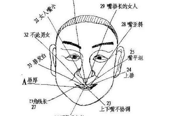 曾老先生教你如何根据命理与身材提升个人魅力与运势