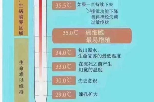 恒温与命运：为何我们命运的温度如此重要？