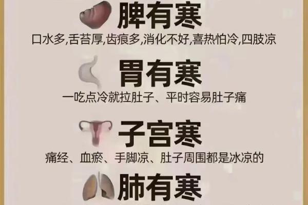 恒温与命运：为何我们命运的温度如此重要？