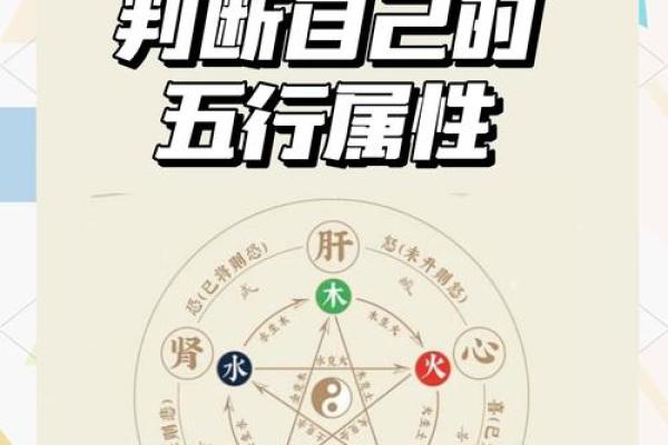 探索土命八字：选择合适颜色大门的重要性与风水智慧