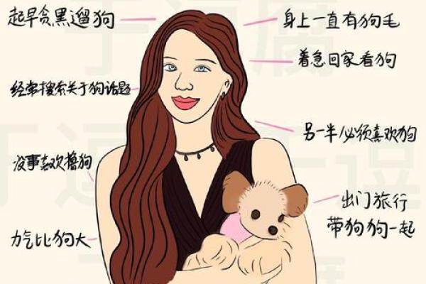 51岁属狗女性命运解析：揭开幸福与挑战的面纱