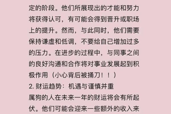 51岁属狗女性命运解析：揭开幸福与挑战的面纱