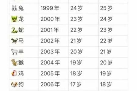 1996年农历属鼠，揭秘这一年出生者的命运与性格特征