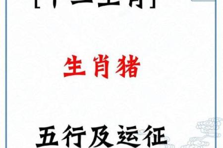 2007年属猪男的命运与性格剖析，助你掌握未来方向