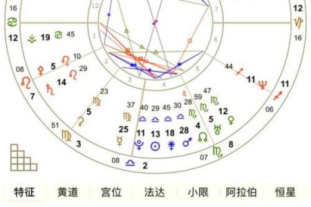 真黄命格：揭示你的生肖命运与人生轨迹