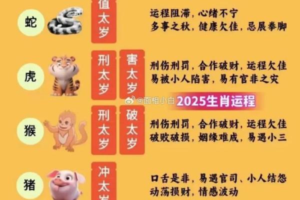 乞丐命中的生肖动物：解锁命运的奥秘与启示