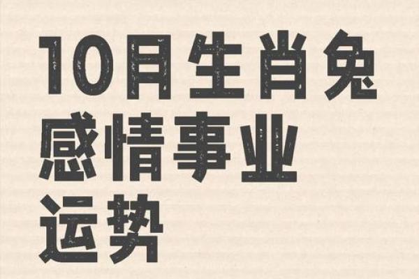 1999属兔：探索属兔人的命运与性格特征