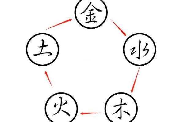 1996年出生的人：命运与五行的神秘之旅