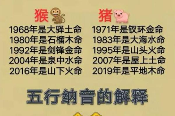 海中金命适合养什么？揭示命理与养宠的秘密