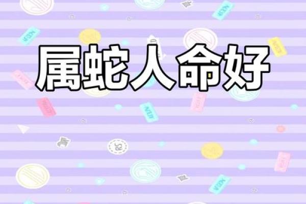 2011年属蛇人命理解析：性格、事业与感情运势全揭秘