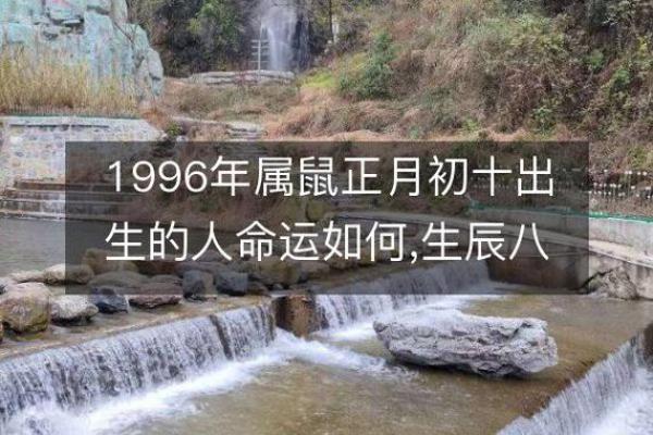 1996年属鼠的五行命理解析与生活指导