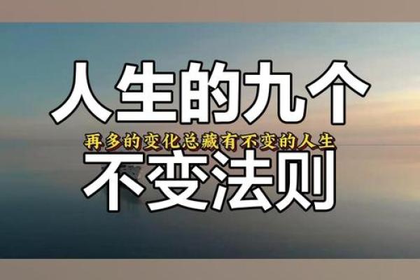 4.5两的命运：揭示命理中藏匿的奥秘与人生智慧